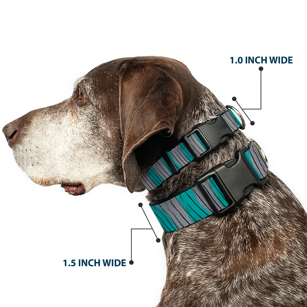 Plastic Clip Collar - Cheshire Cat Stripes Gray/Teal/Black Dog Collars Plastic Clip Side Release Disney