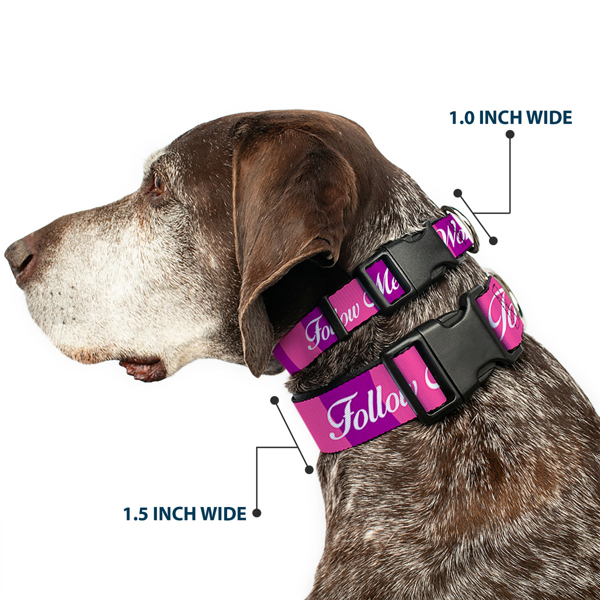 Plastic Clip Collar - Cheshire Cat Stripe/FOLLOW ME TO WONDERLAND Pink/Purple/White Dog Collars Plastic Clip Side Release Disney