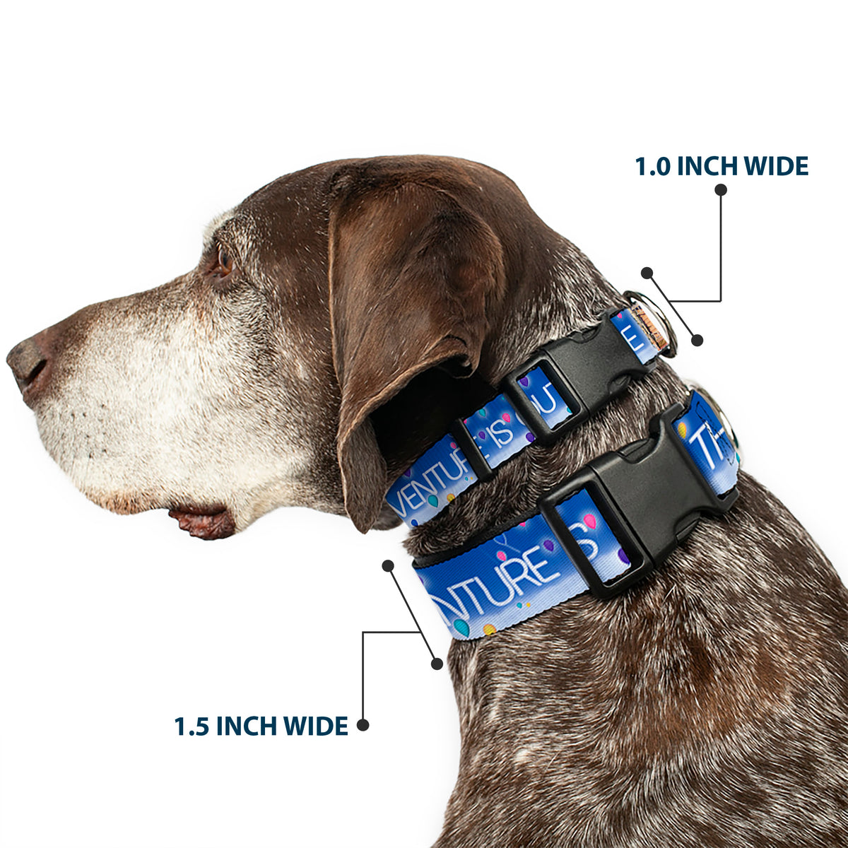 Plastic Clip Collar - ADVENTURE IS OUT THERE/Carl on Porch/Flying House/Balloons Blues/White/Multi Color Dog Collars Plastic Clip Side Release Disney