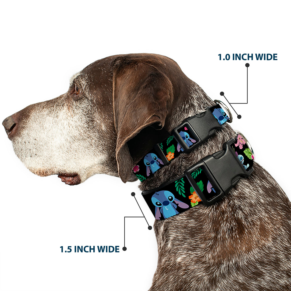 Plastic Clip Collar - OHANA MEANS FAMILY/Stitch & Scrump Poses/Tropical Flora Black/White/Multi Color Dog Collars Plastic Clip Side Release Disney