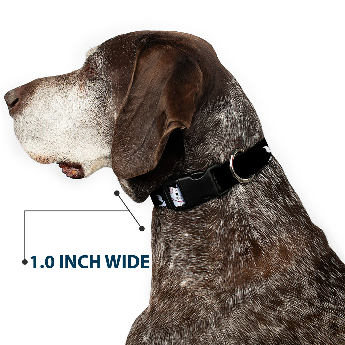 Plastic Clip Collar - Aristocats Marie 3-Poses BECAUSE I'M A LADY THAT'S WHY Black/White/Pink Dog Collars Plastic Clip Side Release Disney