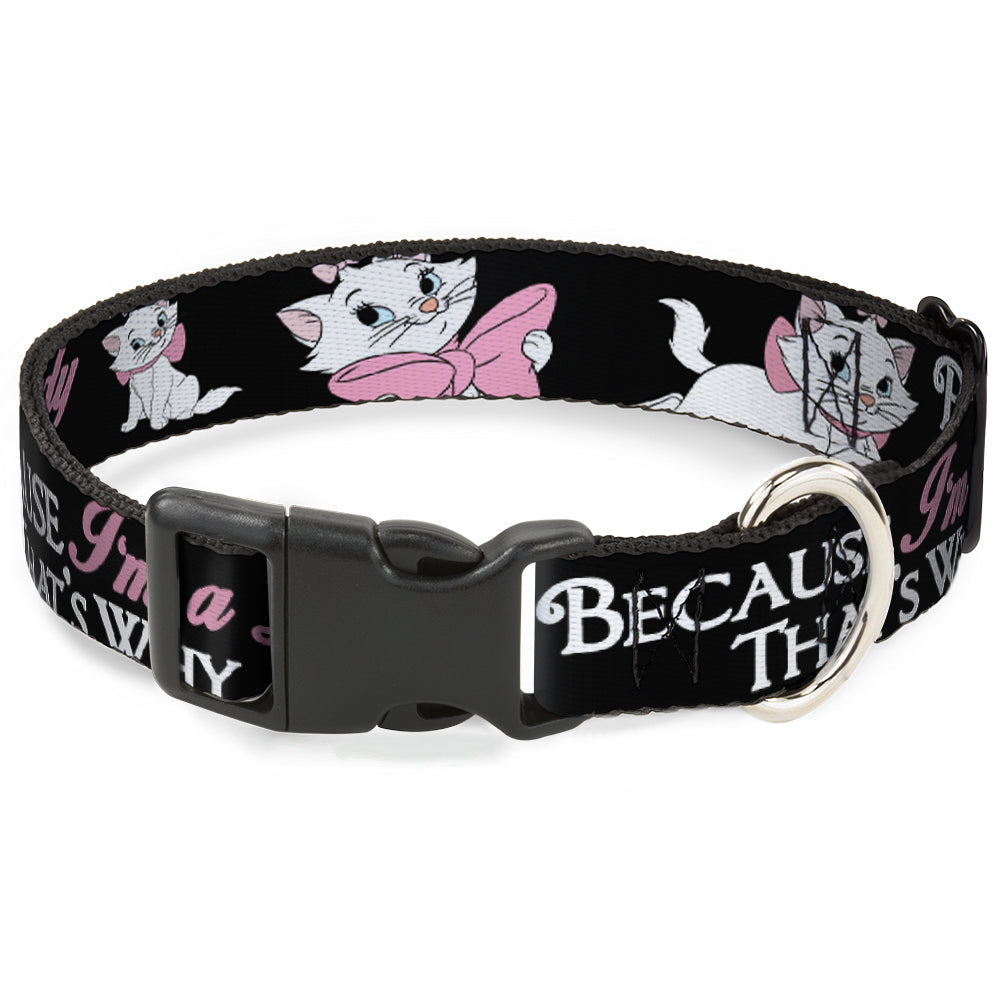 Plastic Clip Collar - Aristocats Marie 3-Poses BECAUSE I'M A LADY THAT'S WHY Black/White/Pink Dog Collars Plastic Clip Side Release Disney