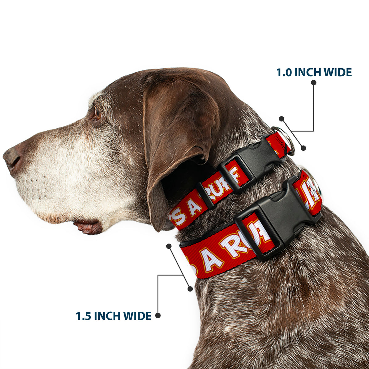 Plastic Clip Collar - Pluto 2-Pose IT'S A RUFF LIFE Red/Yellow/White Dog Collars Plastic Clip Side Release Disney