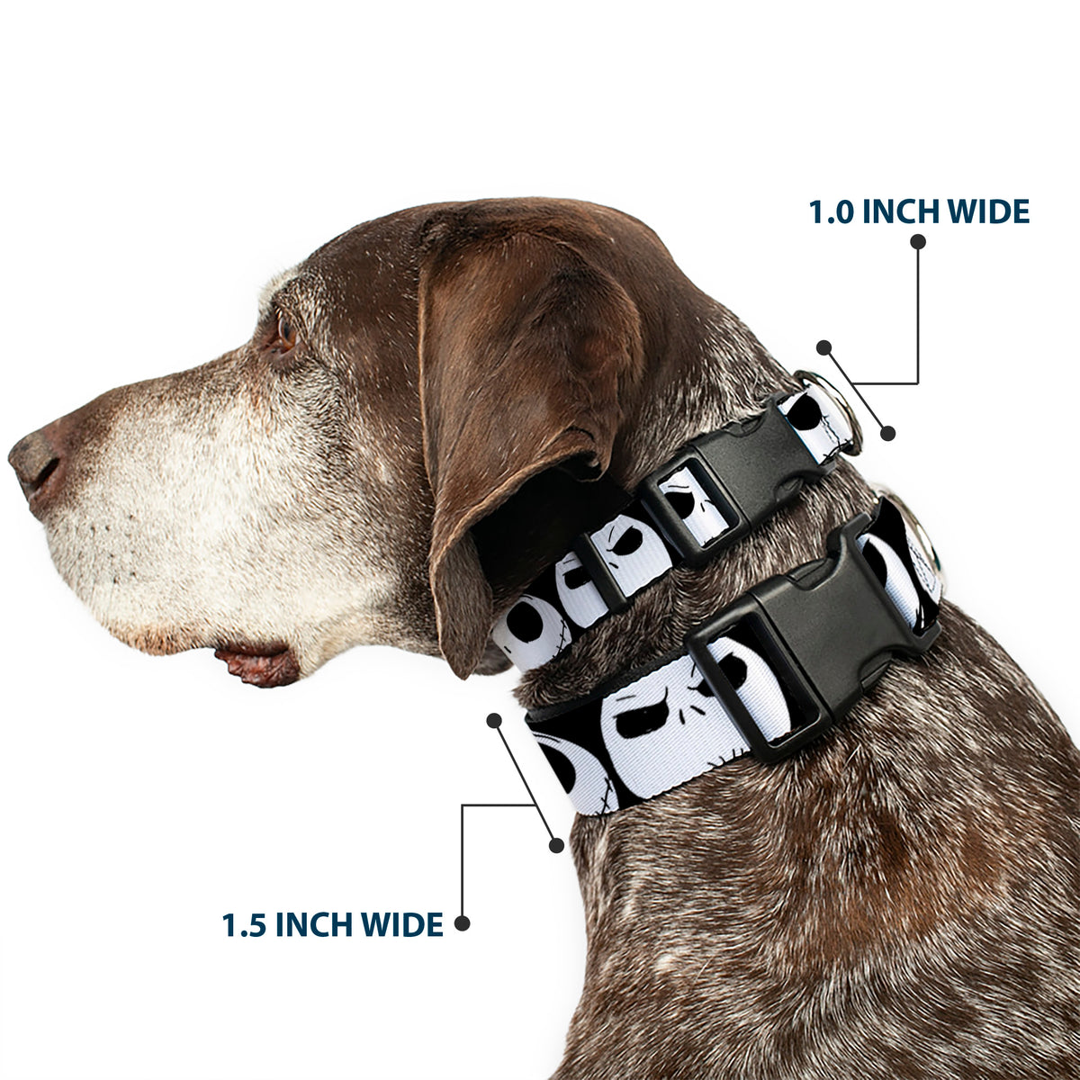 Plastic Clip Collar - Nightmare Before Christmas 7-Jack Expressions CLOSE-UP Black/White Dog Collars Plastic Clip Side Release Disney