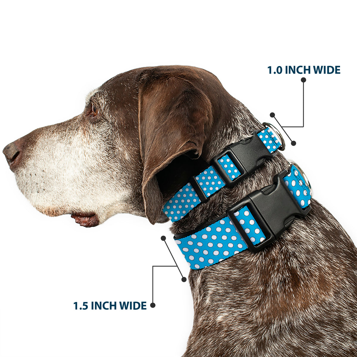 Plastic Clip Collar - Minnie Mouse Dots Blue/Black/White Dog Collars Plastic Clip Side Release Disney