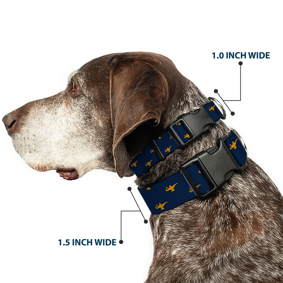 Plastic Clip Collar - Aladdin Genie Lamp Monogram Navy/Gold Dog Collars Plastic Clip Side Release Disney