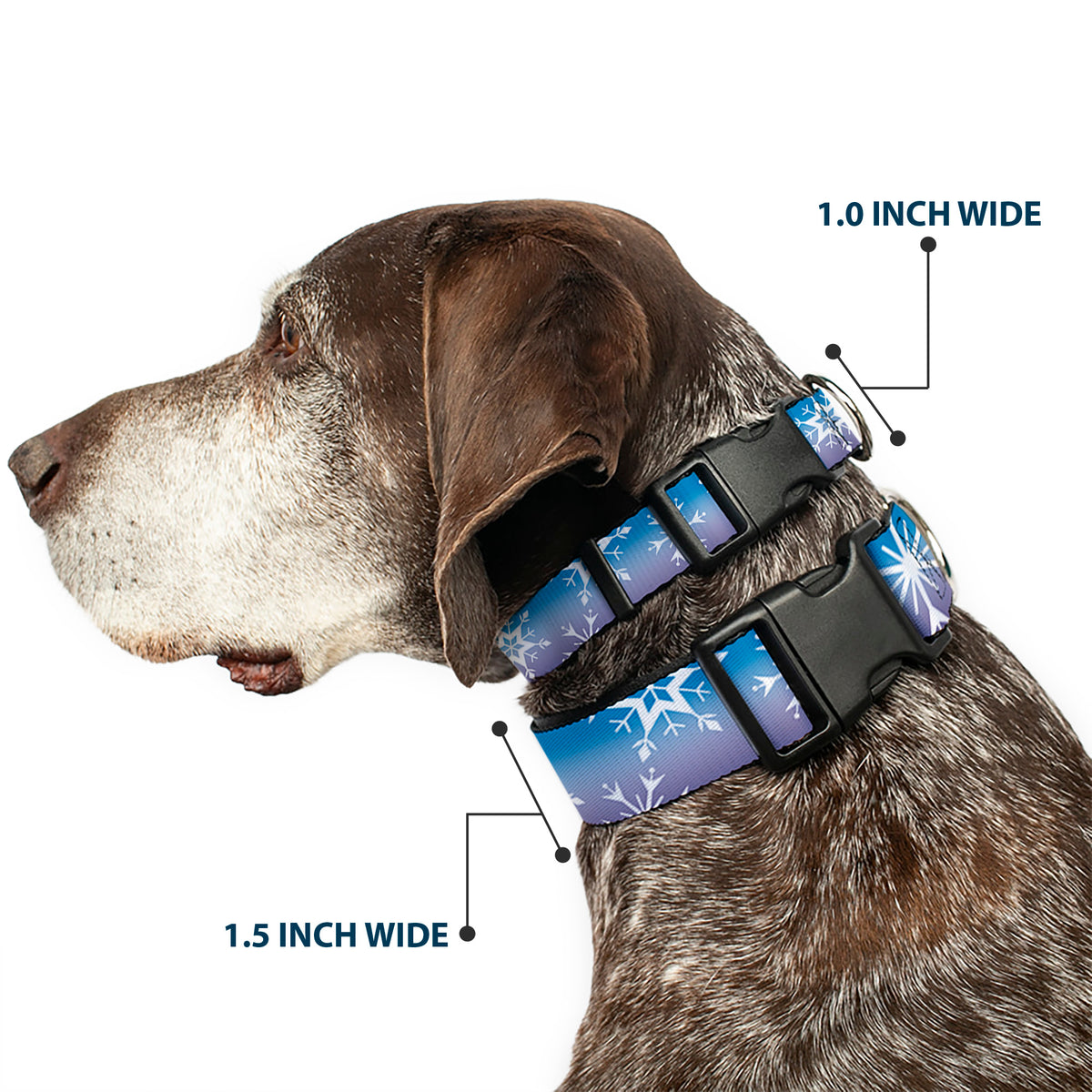 Plastic Clip Collar - Frozen II Snowflakes Blues/Purples/White Dog Collars Plastic Clip Side Release Disney