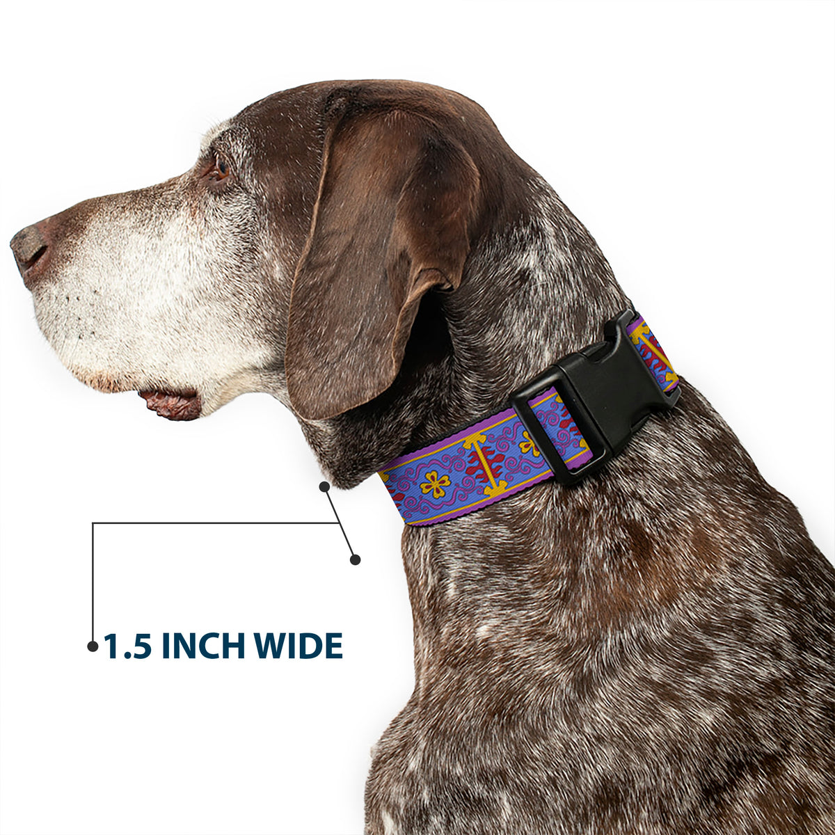 Plastic Clip Collar - Classic Aladdin Magic Carpet Tapestry Blue/Purple/Gold/Red Dog Collars Plastic Clip Side Release Disney