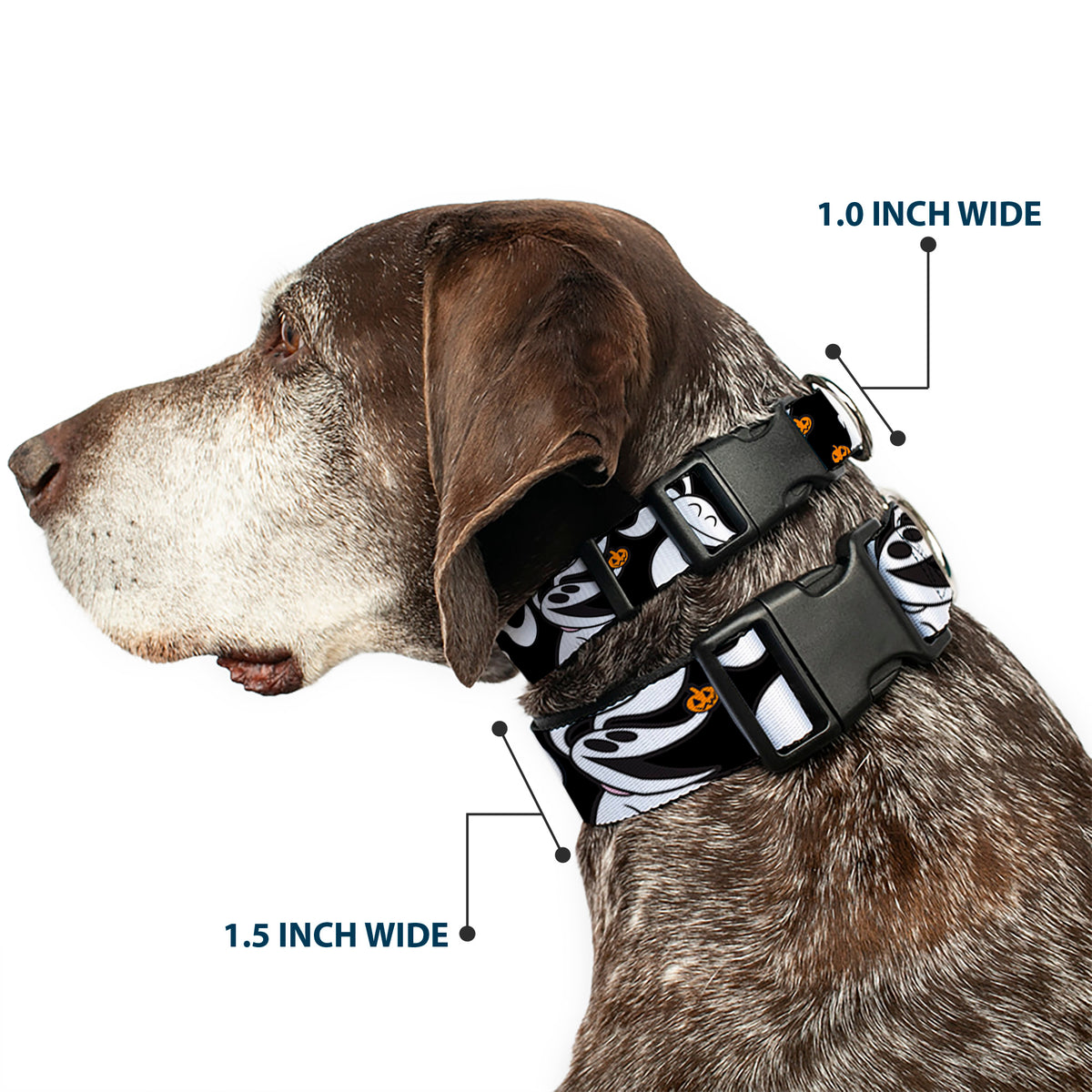 Plastic Clip Collar - Nightmare Before Christmas Zero 5-Pumpkin Expressions Black/White/Orange Dog Collars Plastic Clip Side Release Disney