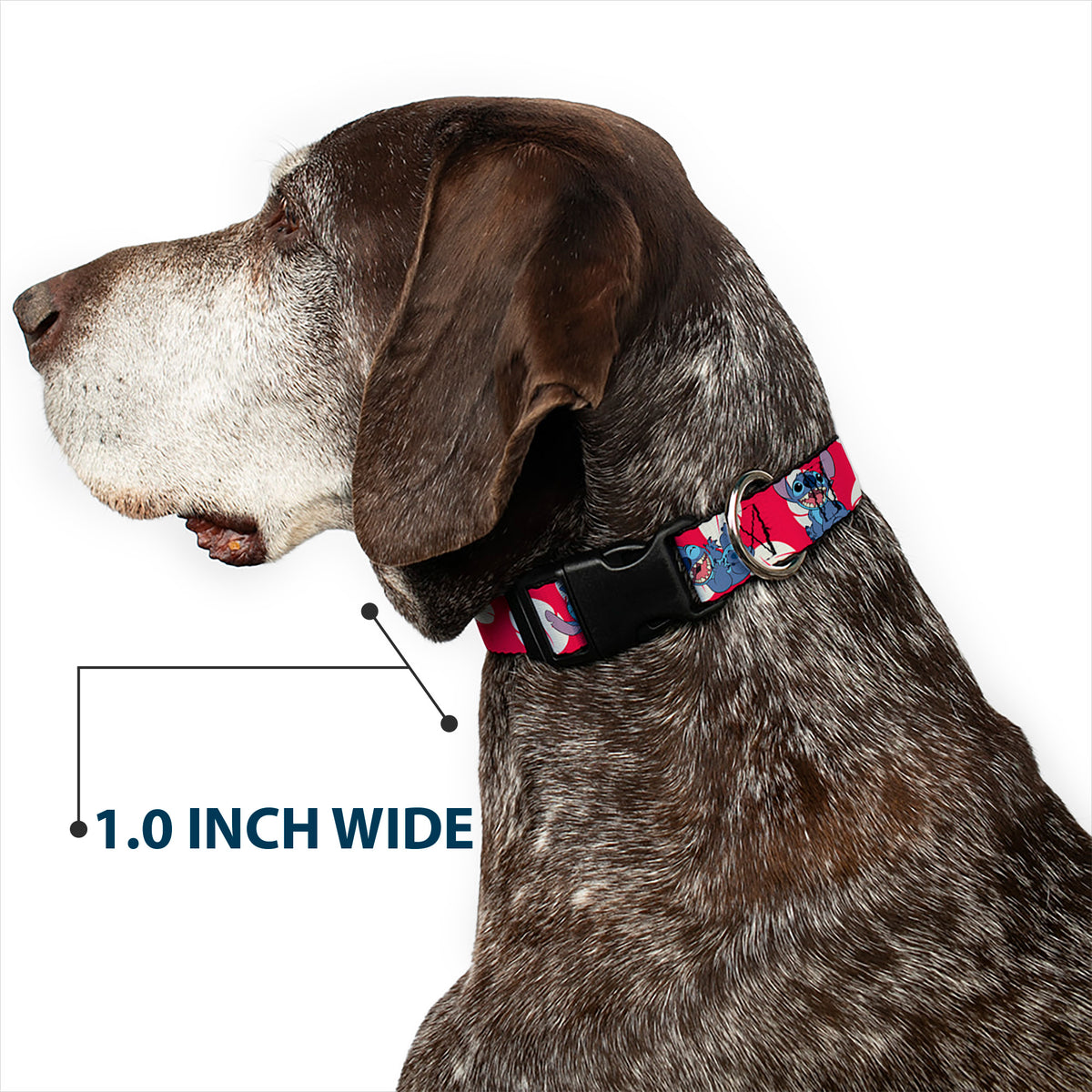 Plastic Clip Collar - Lilo & Stitch Stitch 4-Poses/Lilo Dress Leaves Red/Ivory Dog Collars Plastic Clip Side Release Disney