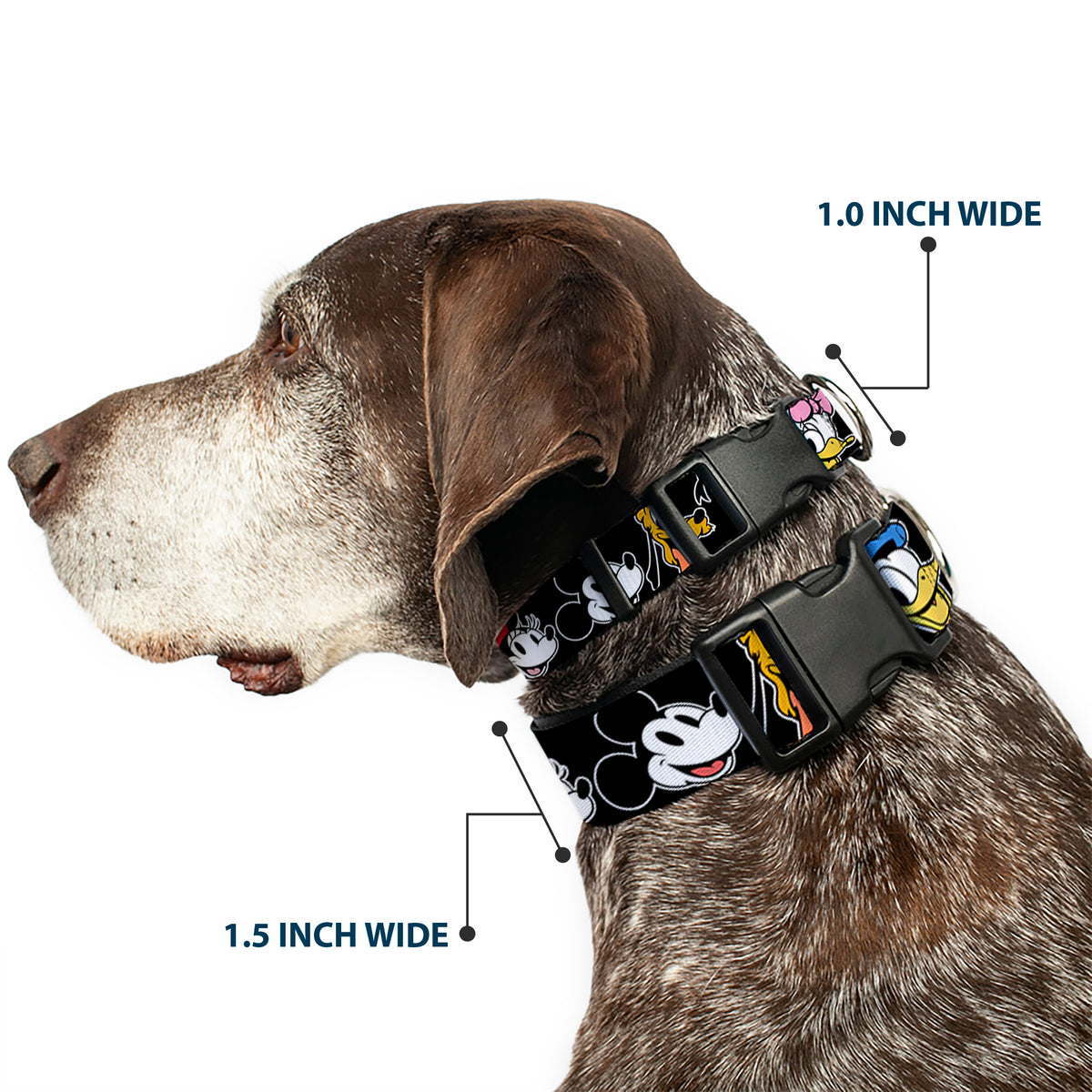 Plastic Clip Collar - Disney The Sensational Six Smiling Faces Black Dog Collars Plastic Clip Side Release Disney