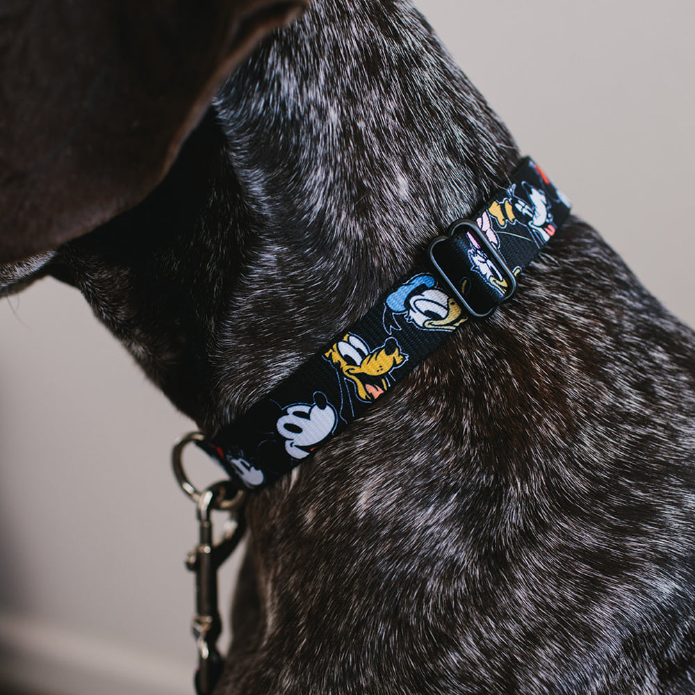 Plastic Clip Collar - Disney The Sensational Six Smiling Faces Black Dog Collars Plastic Clip Side Release Disney