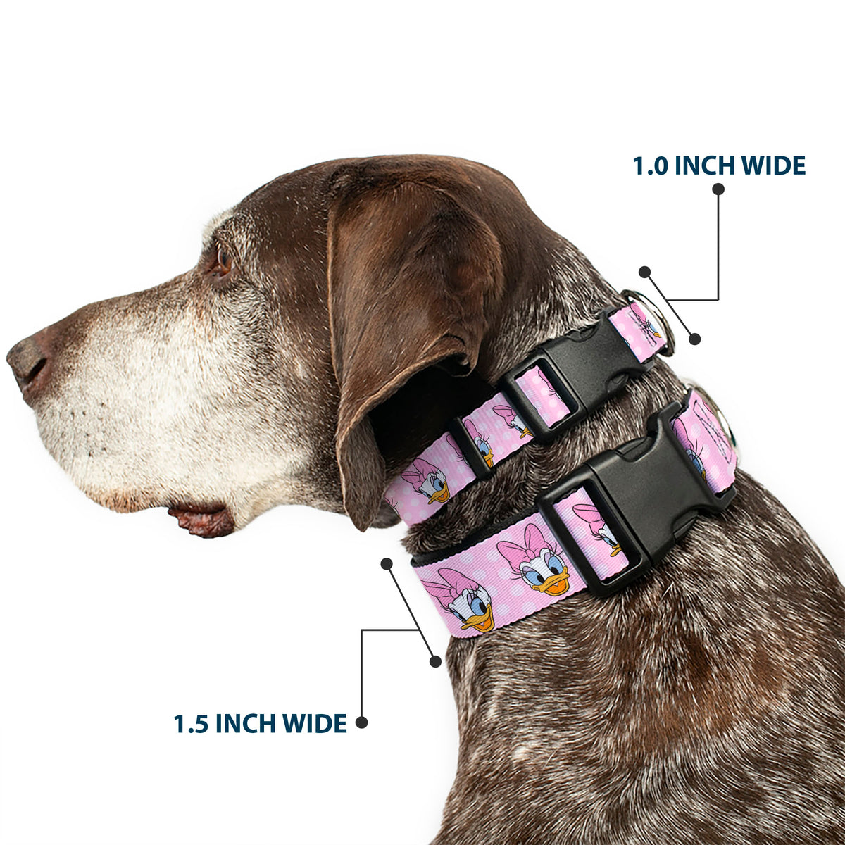 Plastic Clip Collar - Daisy Duck 2-Expressions/Dots Pinks Dog Collars Plastic Clip Side Release Disney
