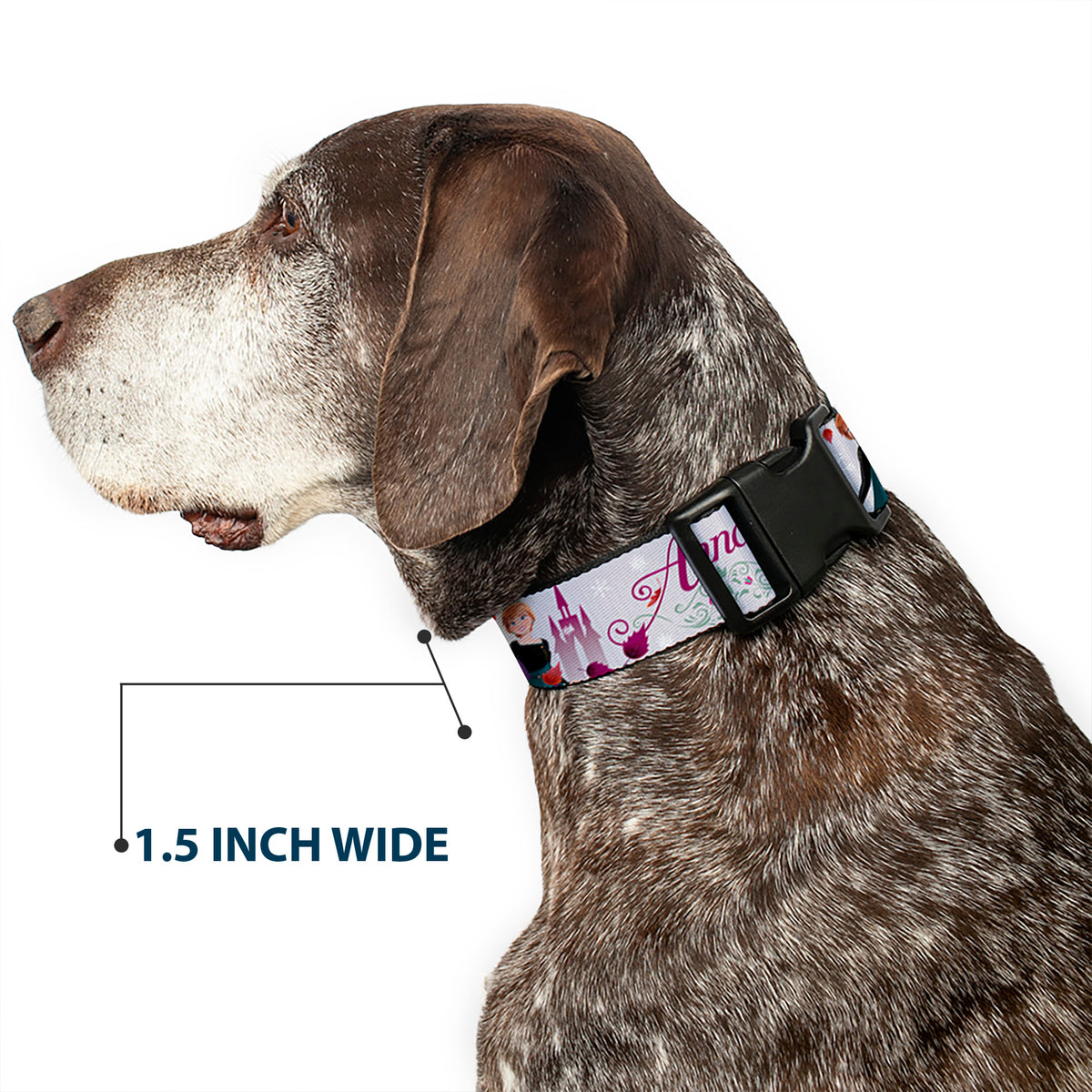 Plastic Clip Collar - Frozen Anna Castle Pose with Flowers and Script Grays/Pinks Dog Collars Plastic Clip Side Release Disney