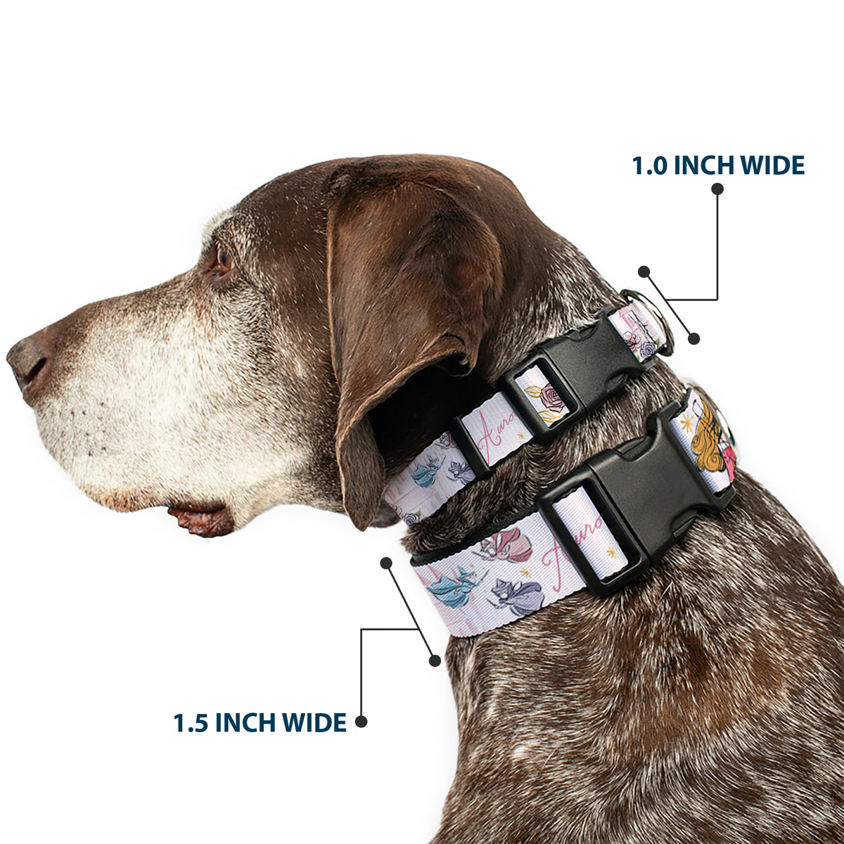 Plastic Clip Collar - Sleeping Beauty Aurora Castle and Fairy Godmothers Pose with Script and Flowers White/Pinks Dog Collars Plastic Clip Side Release Disney