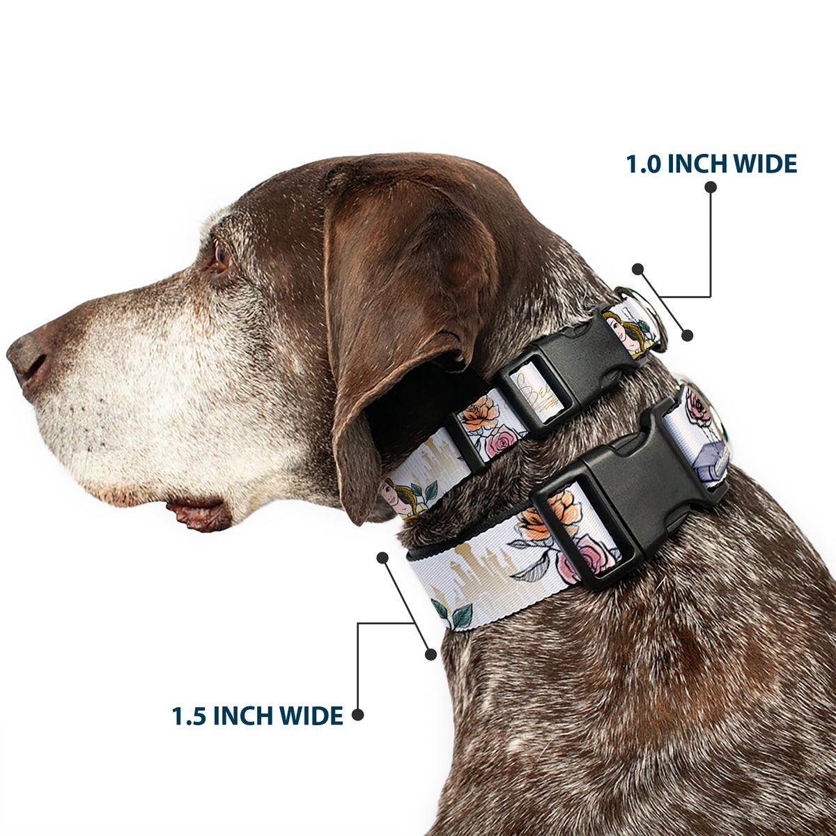 Plastic Clip Collar - Beauty and the Beast Belle Castle Pose with Script and Flowers White/Yellows Dog Collars Plastic Clip Side Release Disney