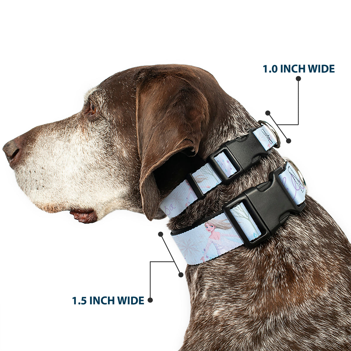 Plastic Clip Collar - Frozen Elsa Snowflake Pose with Trees and Script Blues/Purples Dog Collars Plastic Clip Side Release Disney
