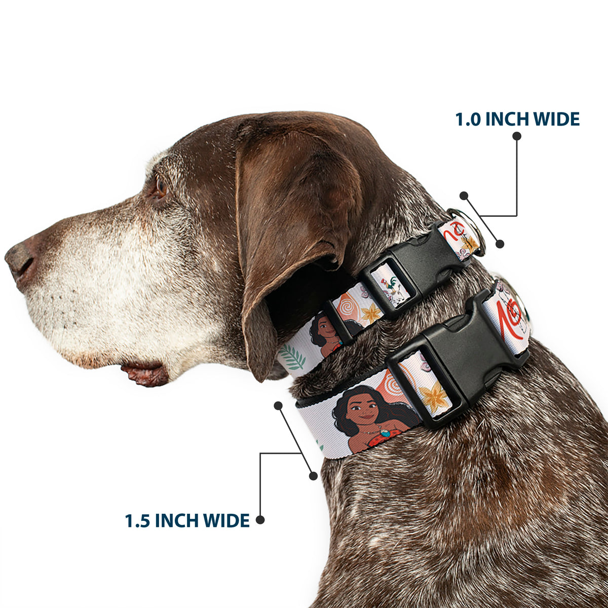 Plastic Clip Collar - Moana with Pua and Hei Hei Sail Pose with Script and Flowers Beige/Orange Dog Collars Plastic Clip Side Release Disney