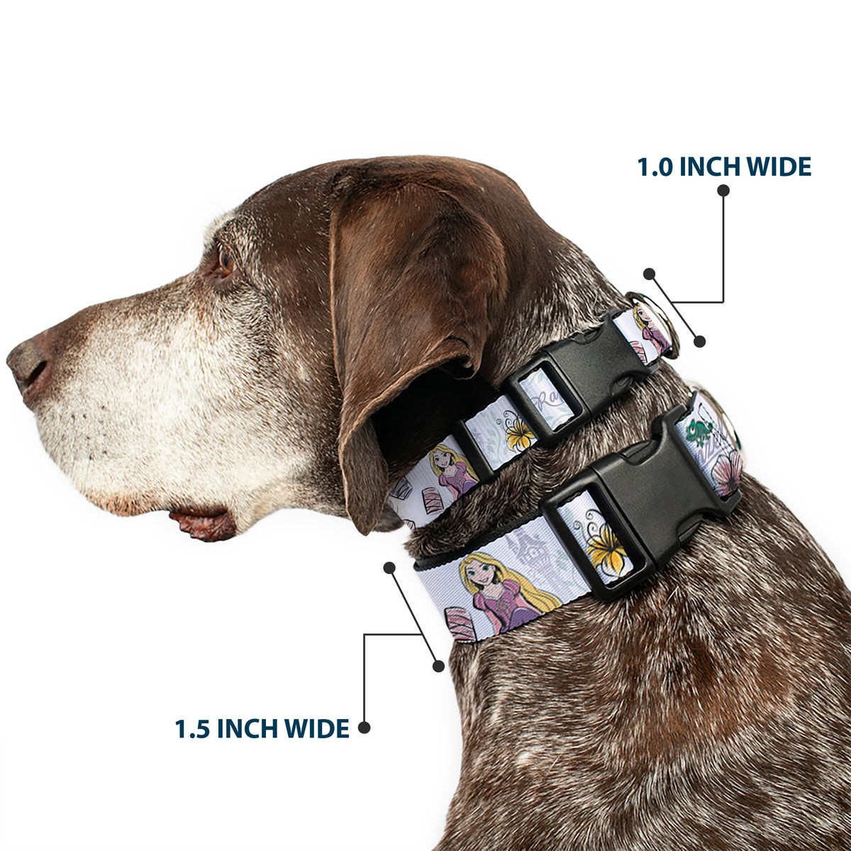 Plastic Clip Collar - Rapunzel Castle and Pascual Pose with Script and Flowers White/Purples Dog Collars Plastic Clip Side Release Disney