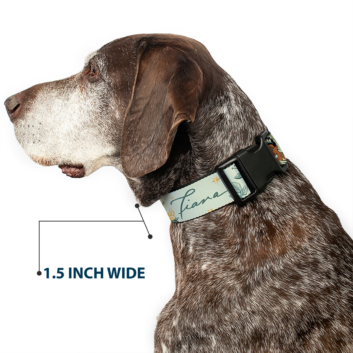 Plastic Clip Collar - The Princess and the Frog Tiana Palace Pose with Script and Flowers Greens Dog Collars Plastic Clip Side Release Disney