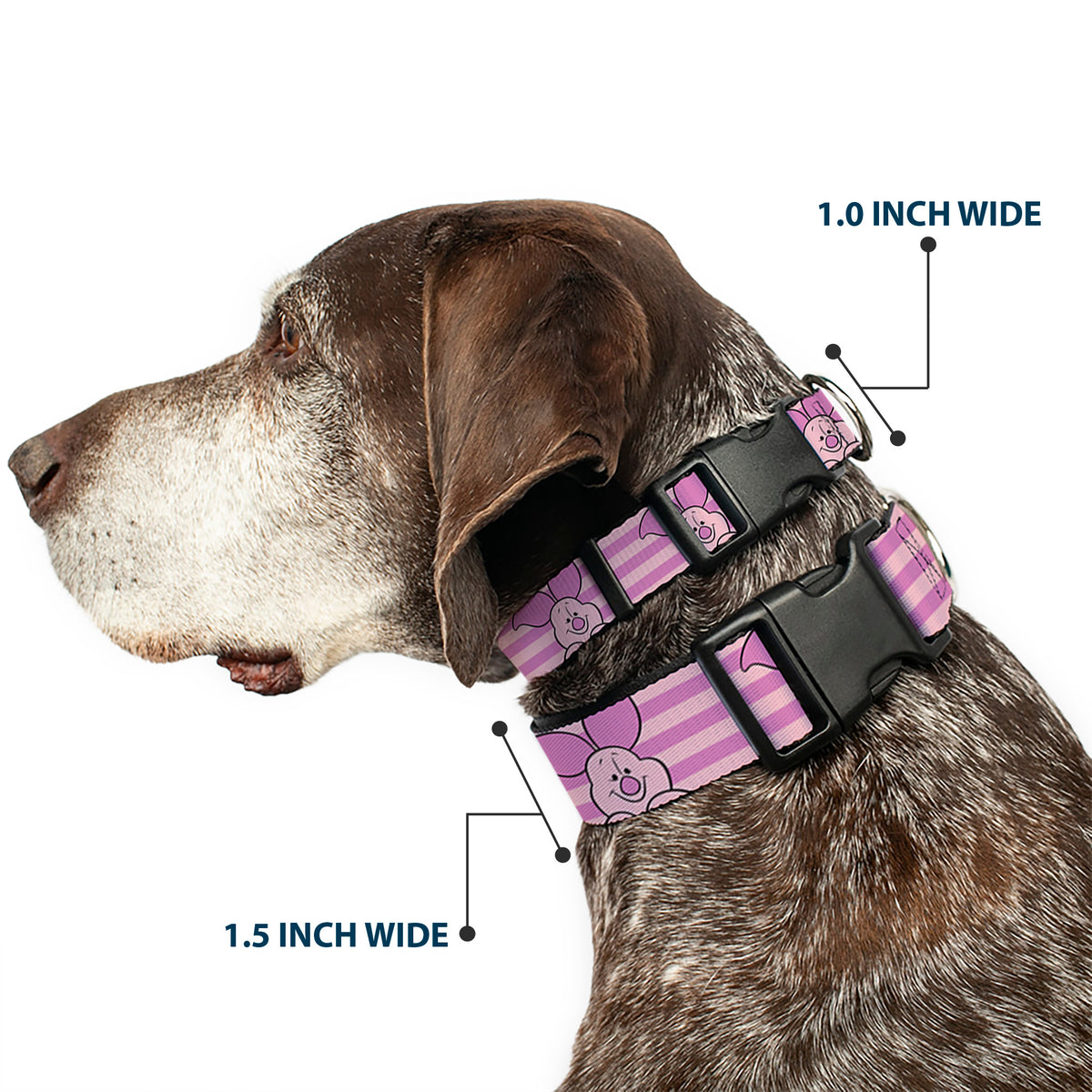 Plastic Clip Collar - Winnie the Pooh Piglet Expression Close-Up Stripe Pinks Dog Collars Plastic Clip Side Release Disney