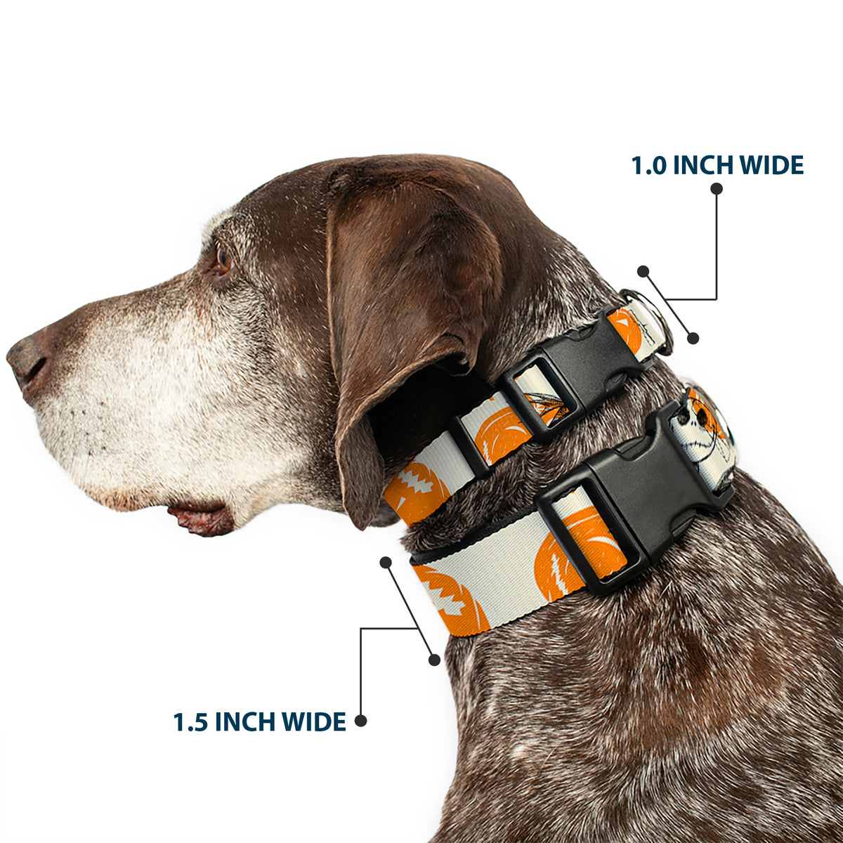 Plastic Clip Collar - The Nightmare Before Christmas Jack Pose and Pumpkins Collage Ivory/Orange/Black Dog Collars Plastic Clip Side Release Disney
