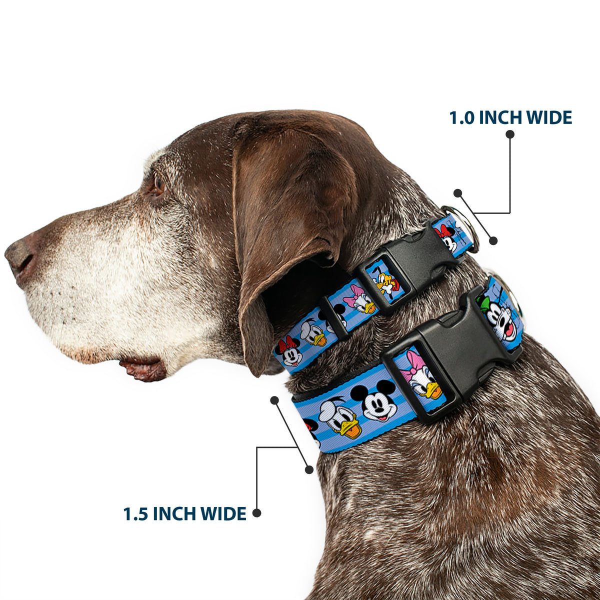 Plastic Clip Collar - Disney The Sensational Six Smiling Faces Stripe Blues Dog Collars Plastic Clip Side Release Disney