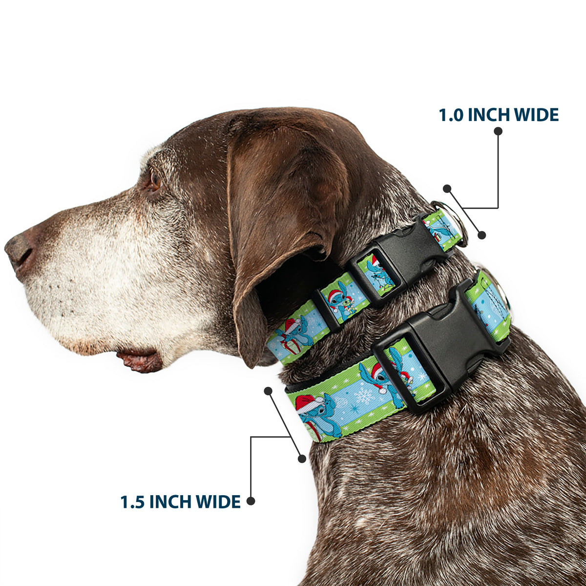 Plastic Clip Collar - Lilo and Stitch Holiday Stitch and Scrump Poses Stripe Green/Blue Dog Collars Plastic Clip Side Release Disney