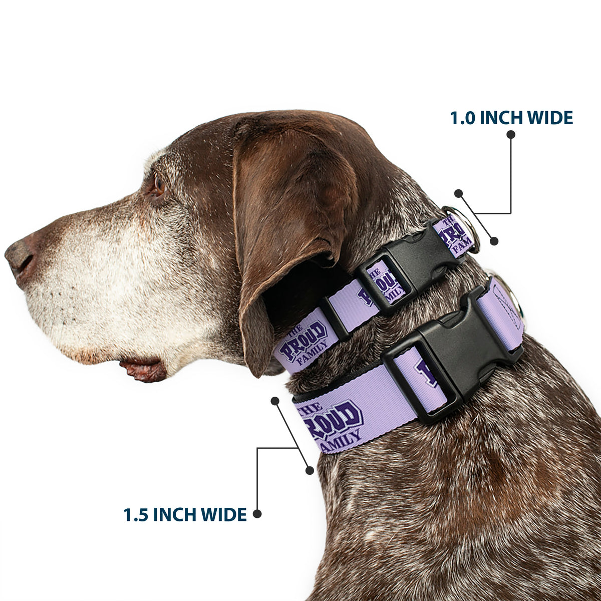 Plastic Clip Collar - THE PROUD FAMILY Title Logo Purples Dog Collars Plastic Clip Side Release Disney