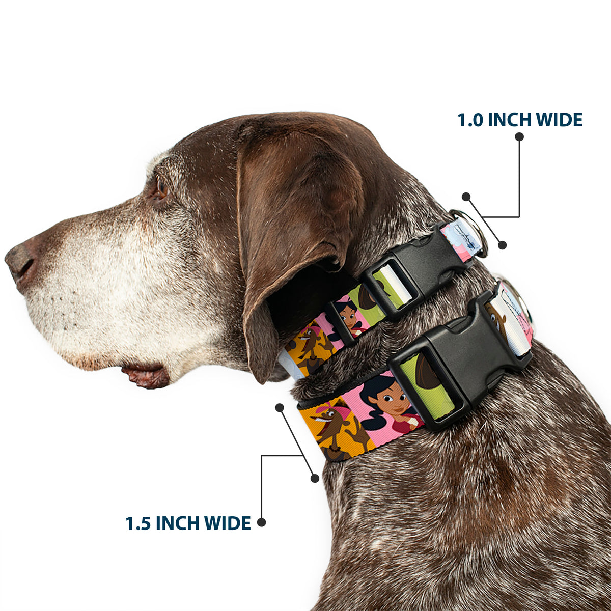 Plastic Clip Collar - The Proud Family 6-Character Block Poses Dog Collars Plastic Clip Side Release Disney