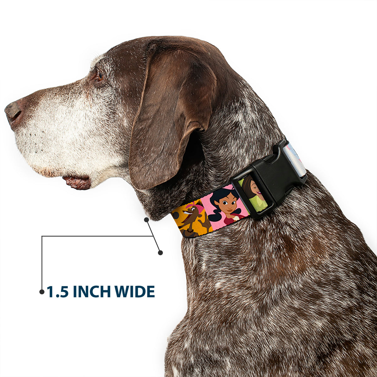 Plastic Clip Collar - The Proud Family 6-Character Block Poses Dog Collars Plastic Clip Side Release Disney