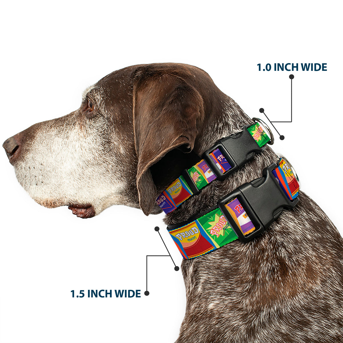 Plastic Clip Collar - The Proud Family PROUD SNACKS Logo Blocks Multi Color Dog Collars Plastic Clip Side Release Disney