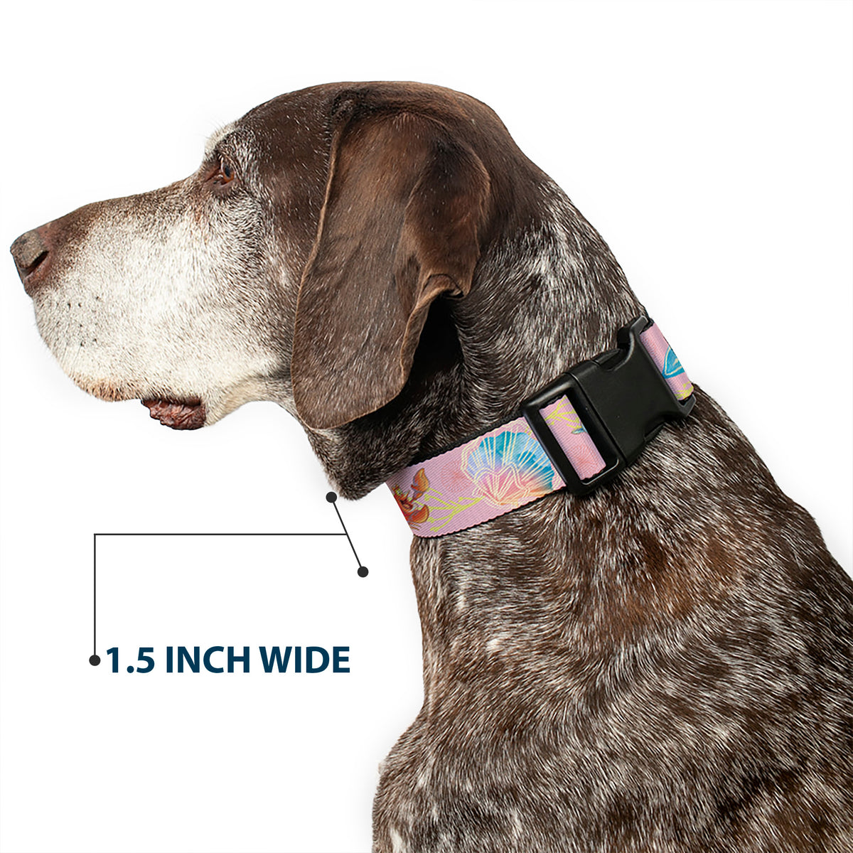 Plastic Clip Collar - The Little Mermaid Flounder and Sebastian Under the Sea Pinks Dog Collars Plastic Clip Side Release Disney
