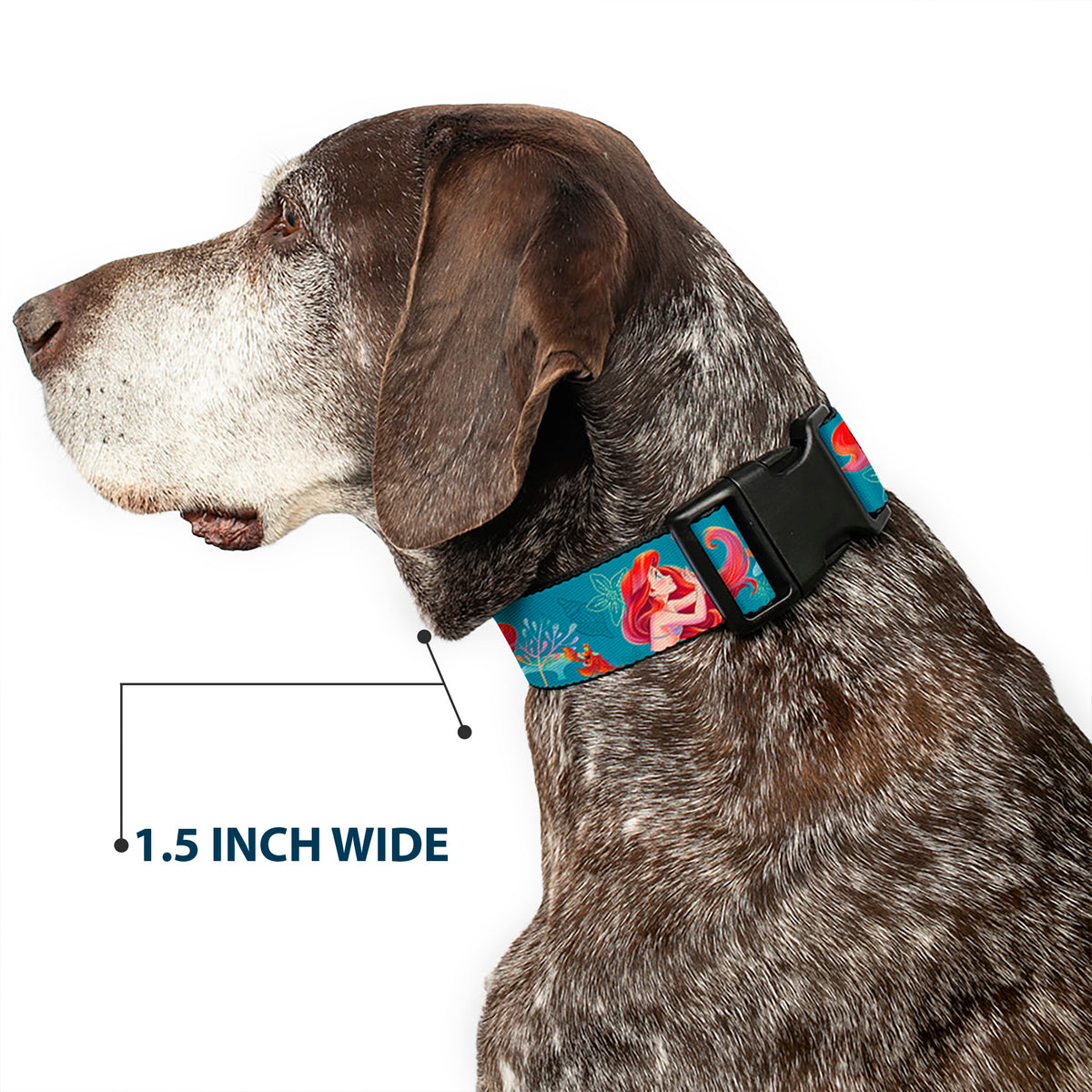 Plastic Clip Collar - The Little Mermaid Flounder and Sebastian Under the Sea Greens Dog Collars Plastic Clip Side Release Disney