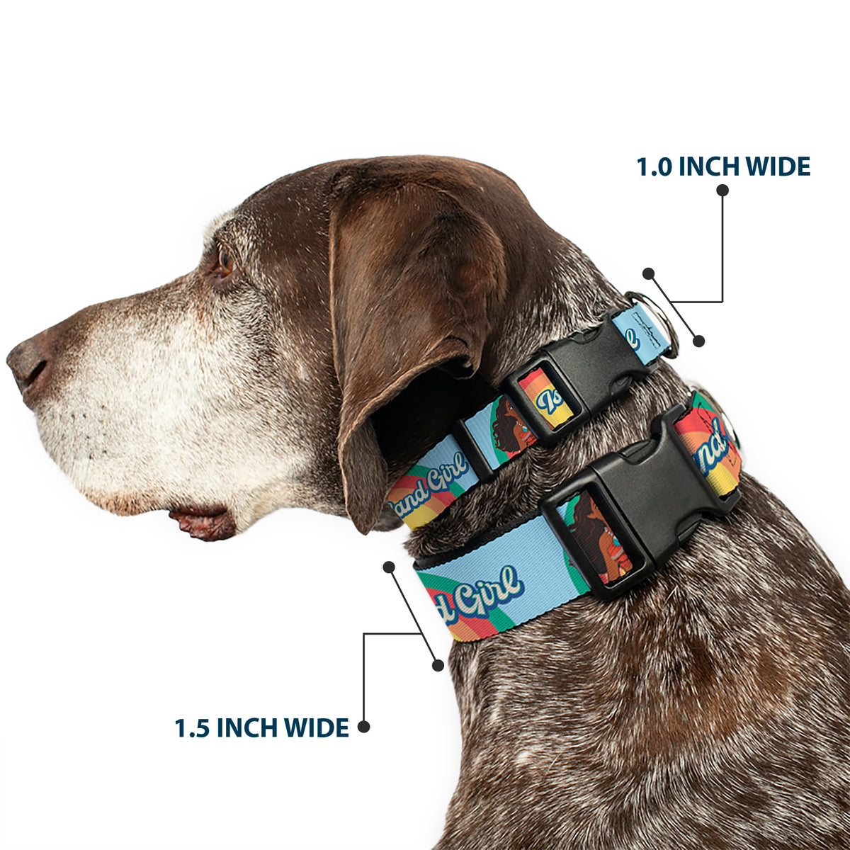 Plastic Clip Collar - Moana ISLAND GIRL Rainbow Pose Blue/Multi Color Dog Collars Plastic Clip Side Release Disney