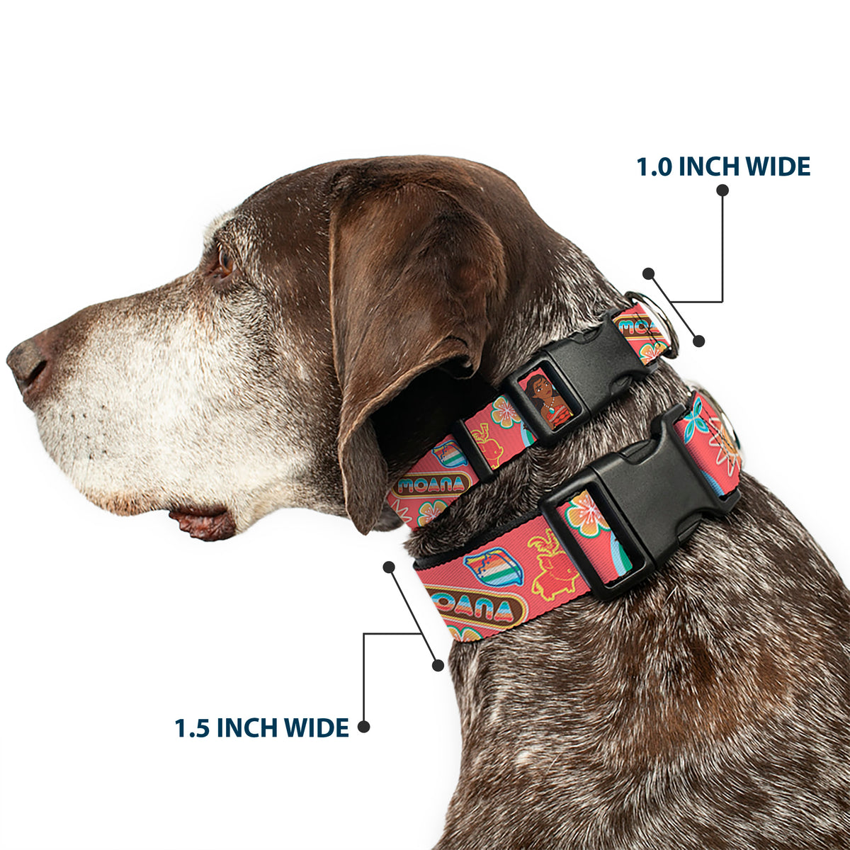 Plastic Clip Collar - Moana Pose and Icons Collage Pink Dog Collars Plastic Clip Side Release Disney
