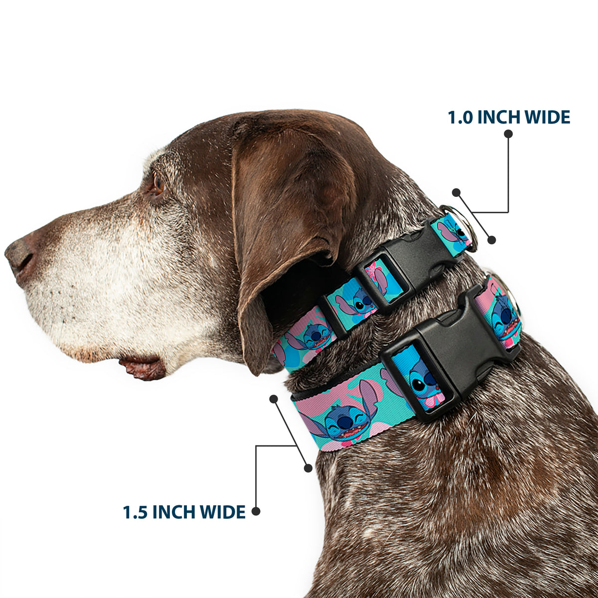 Plastic Clip Collar - Lilo & Stitch Stitch Expressions and Tropical Flowers Blues/Pinks Dog Collars Plastic Clip Side Release Disney