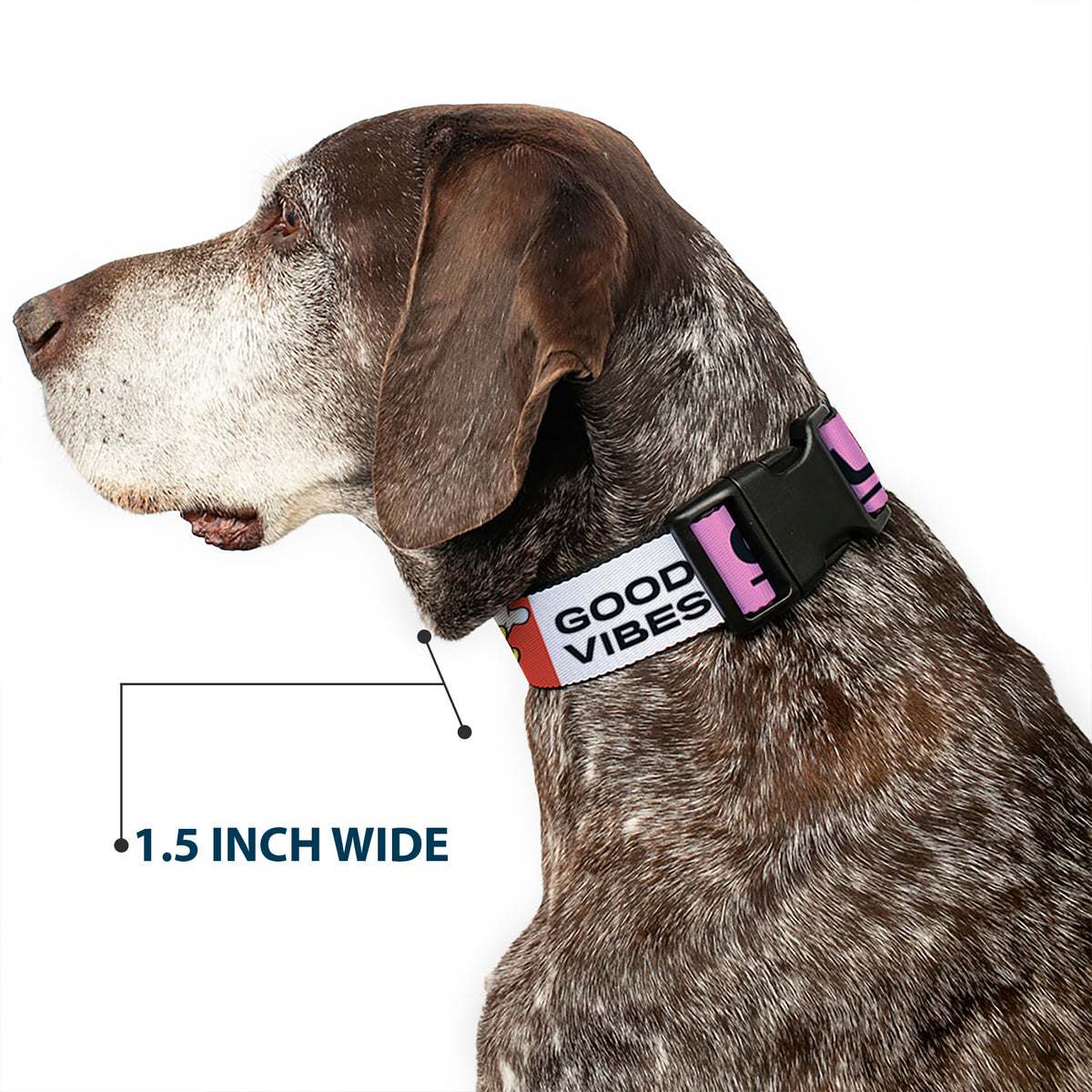Plastic Clip Collar - Sensational Six GOOD VIBES CLUB Pose Blocks Multi Color Dog Collars Plastic Clip Side Release Disney