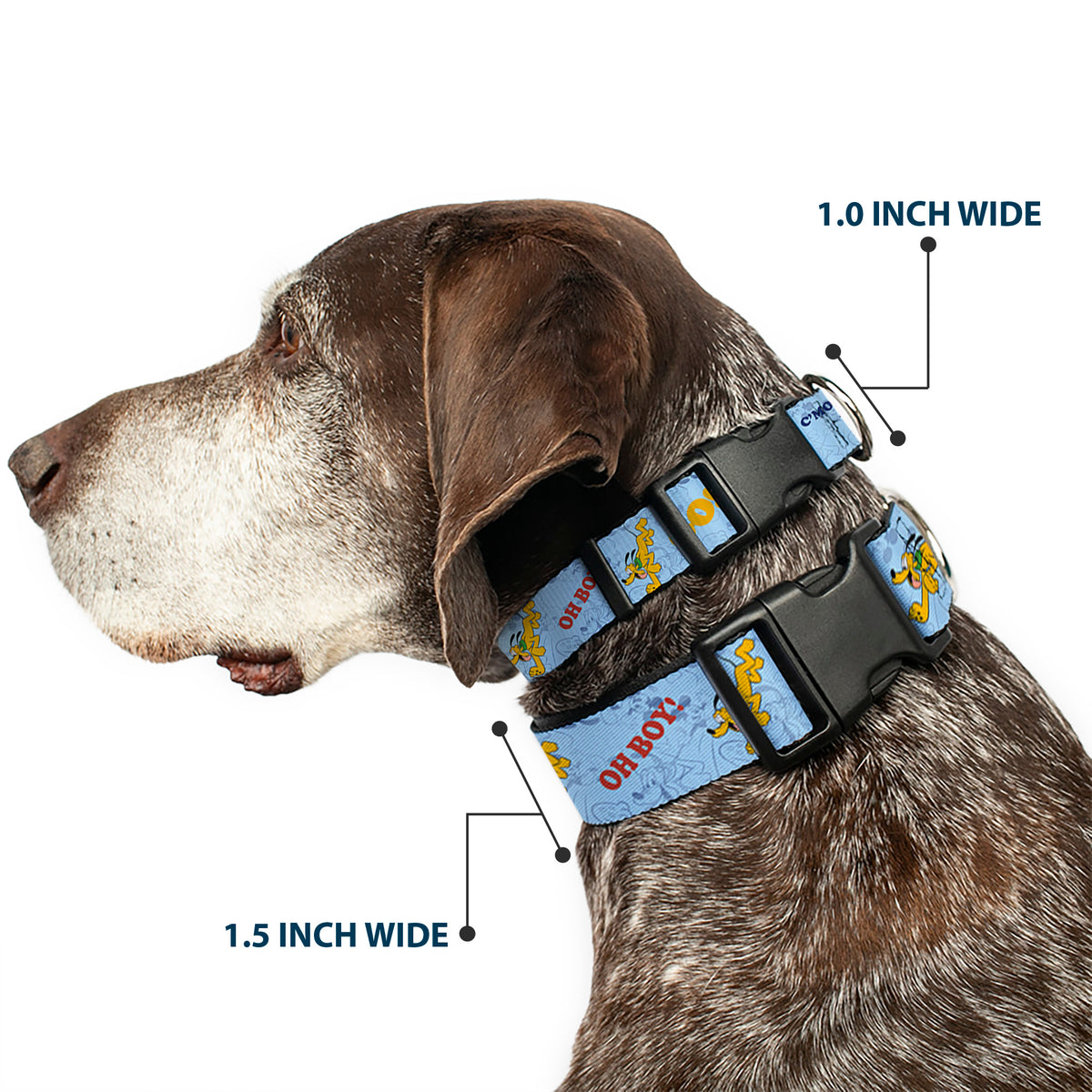 Plastic Clip Collar - Disney Pluto Poses and Quotes Blues/Red/Yellow Dog Collars Plastic Clip Side Release Disney