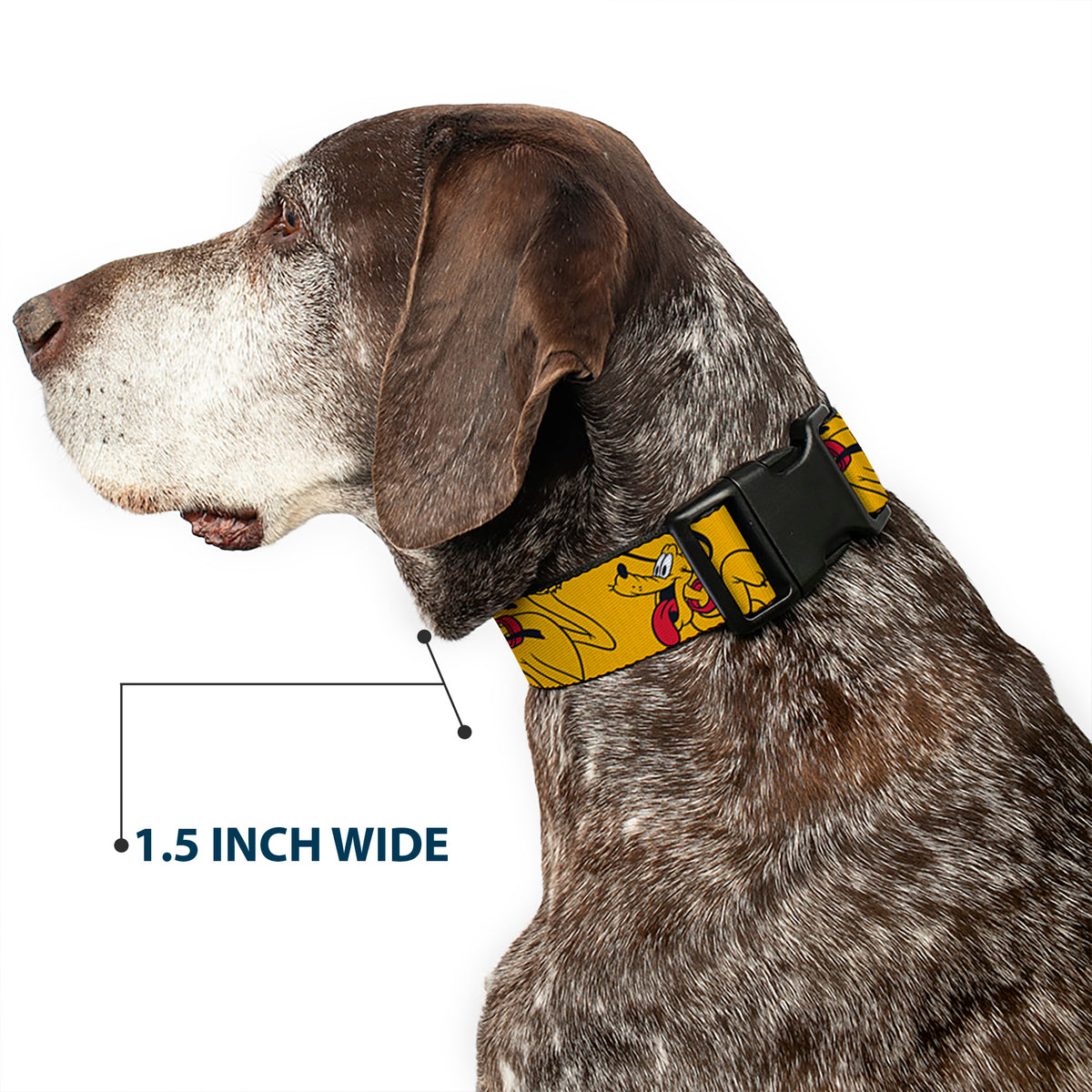 Plastic Clip Collar - Disney Pluto Poses Orange Dog Collars Plastic Clip Side Release Disney