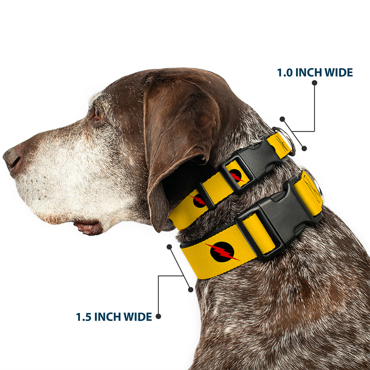 Plastic Clip Collar - Reverse Flash Logo Golden Yellow/Black/Red Dog Collars Plastic Clip Side Release DC Comics