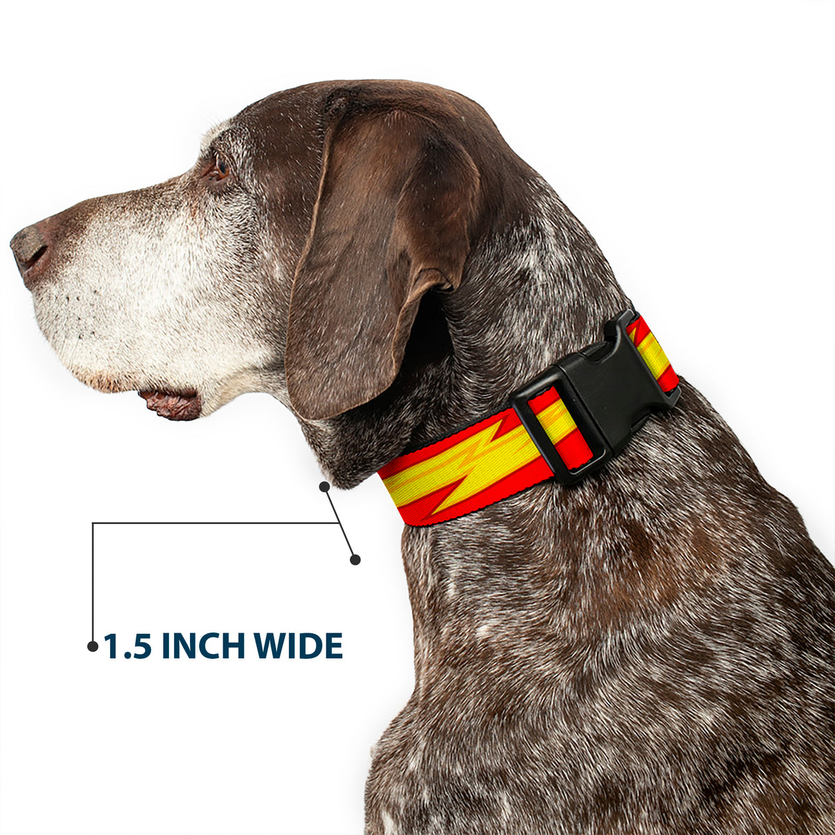 Plastic Clip Collar - The Flash Bolt Stripe Reds/Yellows Dog Collars Plastic Clip Side Release DC Comics