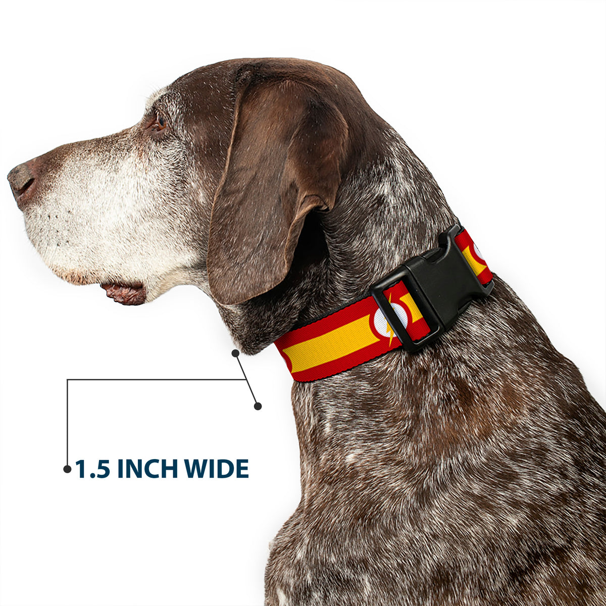 Plastic Clip Collar - The Flash Logo7/Stripe Red/White/Yellow Dog Collars Plastic Clip Side Release DC Comics
