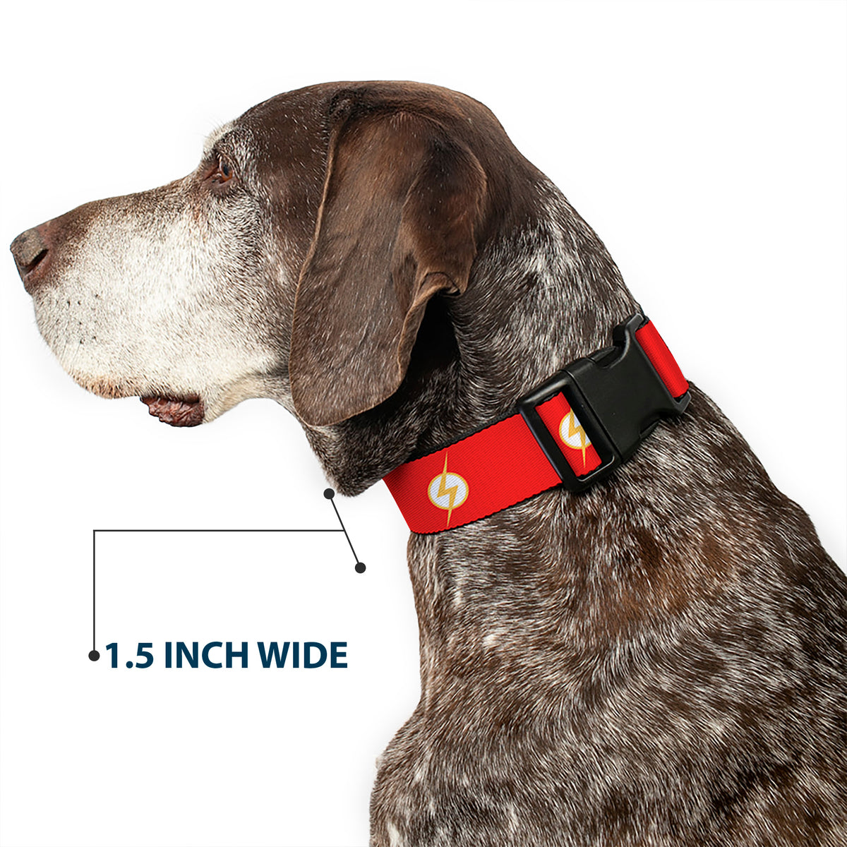Plastic Clip Collar - DC League of Super-Pets Flash Bolt Logo Red/Yellow/White Dog Collars Plastic Clip Side Release DC Comics