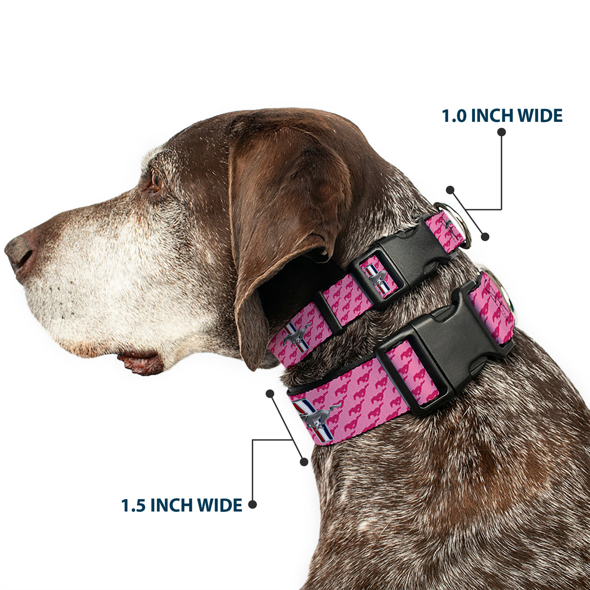 Plastic Clip Collar - Ford Mustang w/Bars w/Text PINK LOGO REPEAT Dog Collars Plastic Clip Side Release Ford