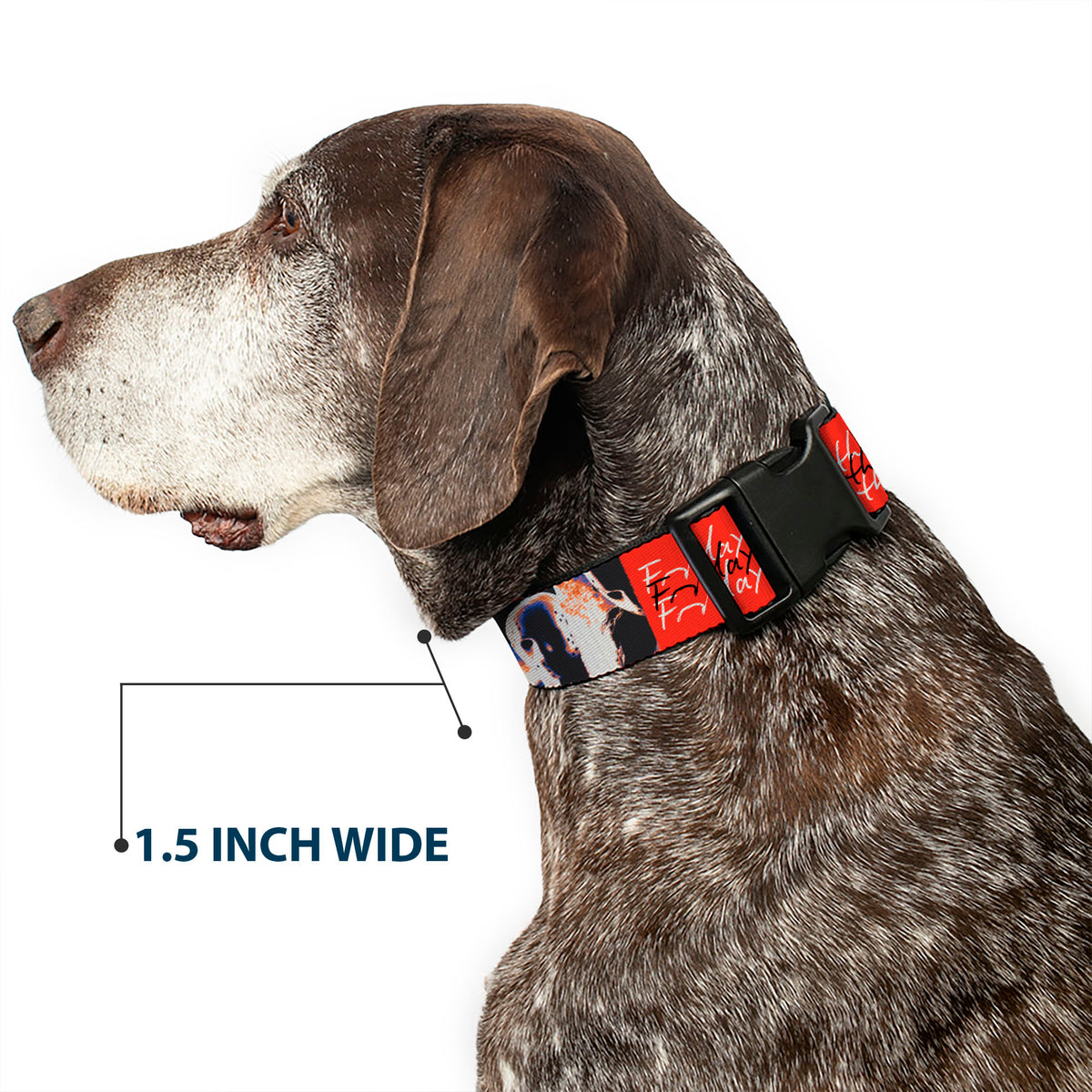 Plastic Clip Collar - FRIDAY THE 13TH Jason Mask and Script Blocks Red/Black/White Dog Collars Plastic Clip Side Release Friday the 13th