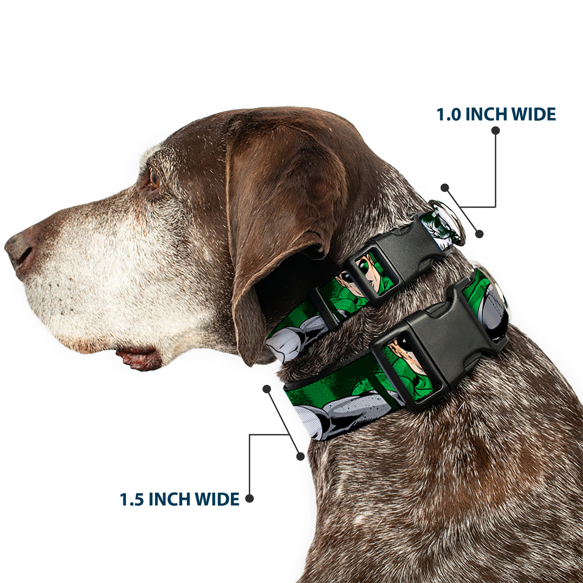 Plastic Clip Collar - Green Lantern Green Glow w/Text Dog Collars Plastic Clip Side Release DC Comics