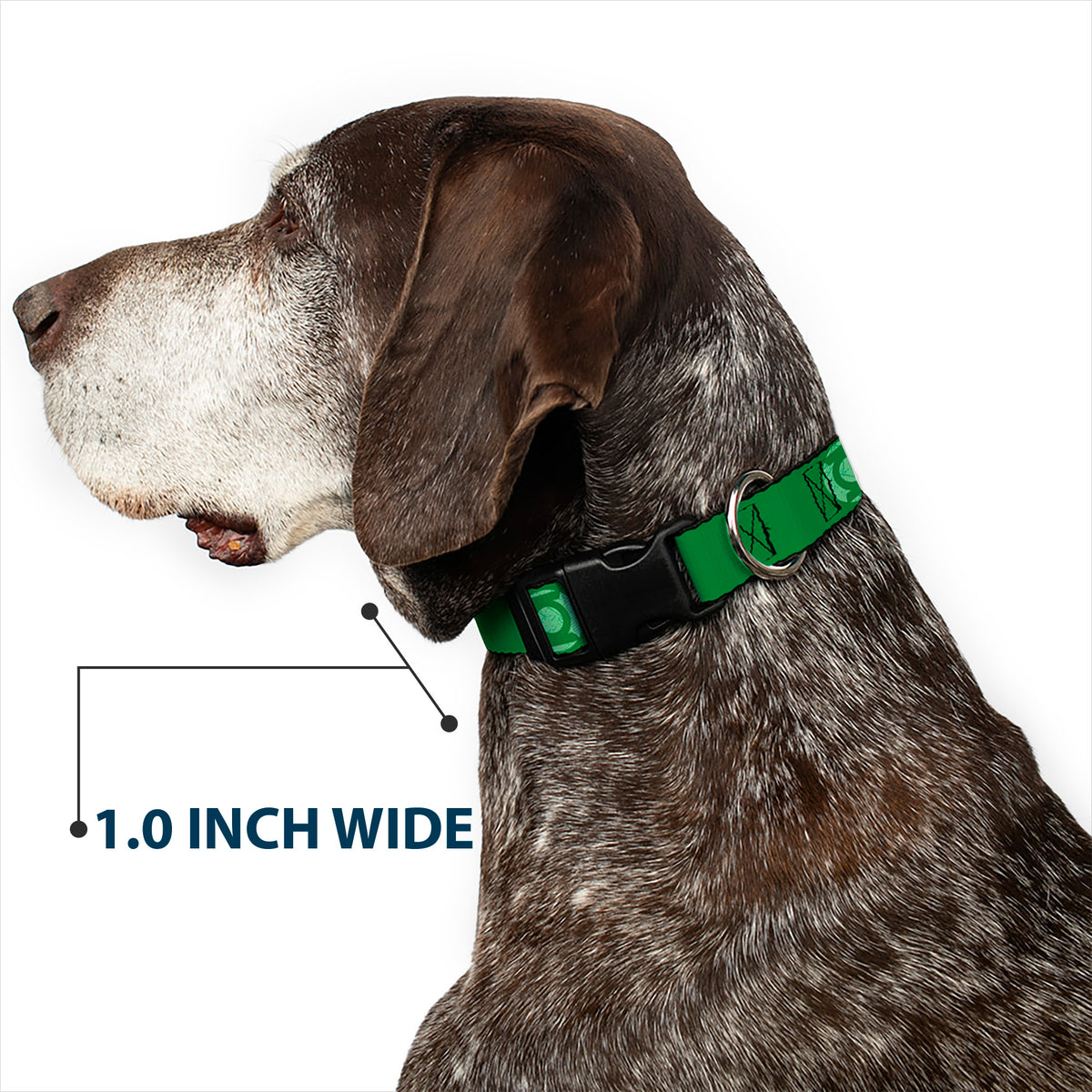 Plastic Clip Collar - Green Lantern Logo Weathered Greens Dog Collars Plastic Clip Side Release DC Comics