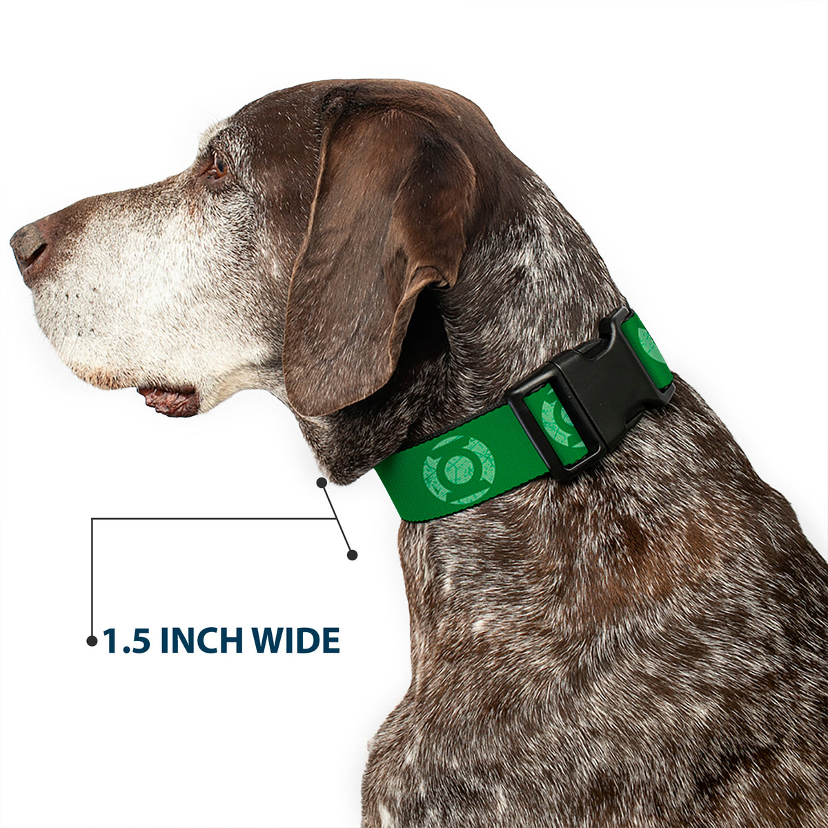 Plastic Clip Collar - Green Lantern Logo Weathered Greens Dog Collars Plastic Clip Side Release DC Comics