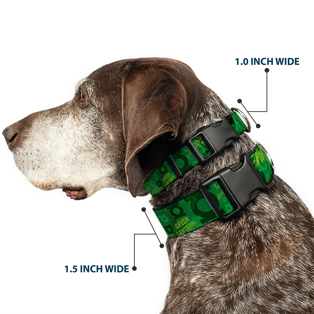 Plastic Clip Collar - GREEN LANTERN/Logo Collage Weathered Greens Dog Collars Plastic Clip Side Release DC Comics